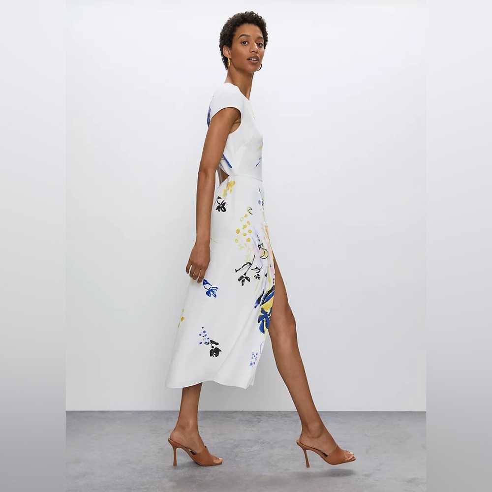 Aritzia Babaton Hamptons Dress